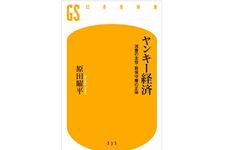 『ヤンキー経済 消費の主役・新保守層の正体』（幻冬舎刊）