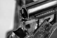 アラサ―女、散弾銃の玉について考える