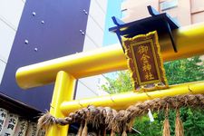 年末ジャンボを絶対に当てたい！金ピカ神社で金運爆上げ！？