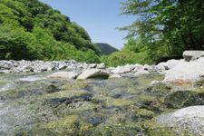 ゴールデンウイークは自然の豊かな場所に行こう！？　休日の耳ケア方法