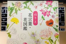 『ぬりえ花言葉・花図鑑』（ユーキャン刊）
