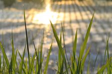 心身の好調の秘訣「リセットの習慣」のキモは？（＊画像はイメージです）