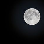 お月見といえば「お団子」と「ススキ」なの？