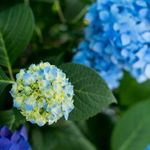 「インスタ映え」で儲けを出すレジャー施設のビジネスモデル