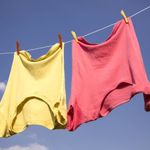 正解はあるのか？ 意外に知らない他人の「Ｔシャツのたたみ方」
