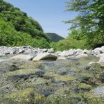 ゴールデンウイークは自然の豊かな場所に行こう！？　休日の耳ケア方法