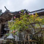 意外に多い？日常会話の中の仏教用語（＊画像はイメージです）