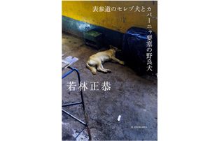 『表参道のセレブ犬とカバーニャ要塞の野良犬』(KADOKAWA刊)