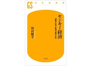 『ヤンキー経済 消費の主役・新保守層の正体』(幻冬舎刊)
