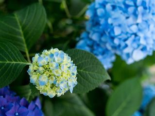 「インスタ映え」で儲けを出すレジャー施設のビジネスモデル
