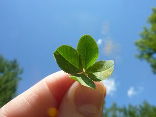 運が悪い人は旅行に行くべき!? 「運に好かれる人」と「運に見放される人」の違い
