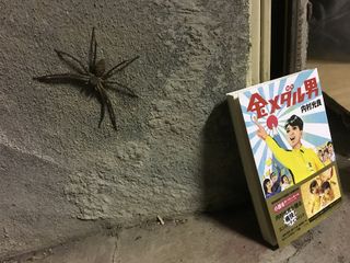 軍曹。