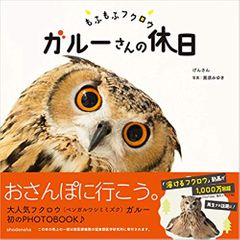 もふもふフクロウ ガルーさんの休日
