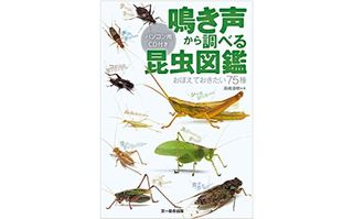 『鳴き声から調べる昆虫図鑑』（文一総合出版刊）