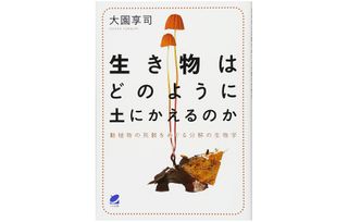 『生き物はどのように土にかえるのか』（ベレ出版刊）