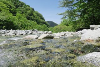 ゴールデンウイークは自然の豊かな場所に行こう！？　休日の耳ケア方法