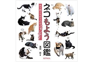 『ネコもよう図鑑: 色や柄がちがうのはニャンで?』浅羽宏著【「本が好き!」レビュー】