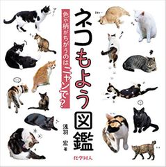 ネコもよう図鑑: 色や柄がちがうのはニャンで?