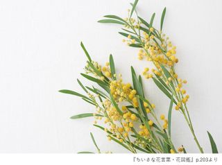 『ちいさな花言葉・花図鑑』（ユーキャン刊）p.203より「ミモザ」