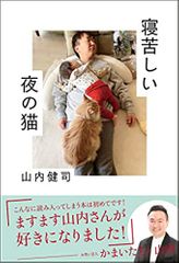 寝苦しい夜の猫