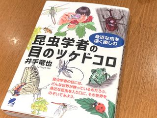 『昆虫学者の目のツケドコロ』（井出竜也著、ベレ出版刊）