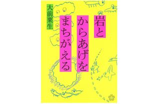 『岩とからあげをまちがえる』（ミシマ社刊）