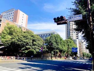 「学歴が中身と釣り合わない」高学歴難民たちの直面する現実（＊画像はイメージです）