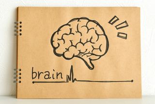 何歳になっても能力を伸ばしたい人が知っておくべき「脳の8つの番地」(*画像はイメージです)
